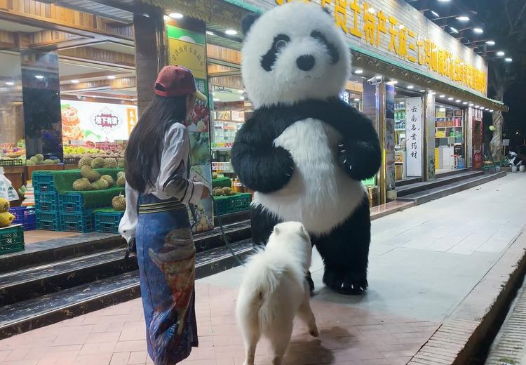 「第四期」一辆房车,三只毛孩子,三个姑娘,9476公里奇遇记