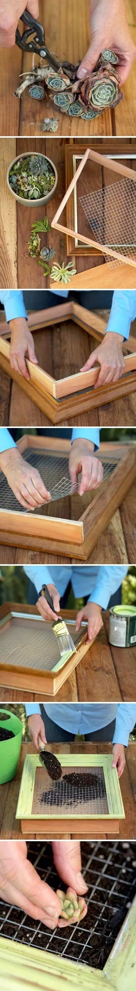 置爱|植物1.0是种在盆儿里的,植物2.0都趴在墙上的