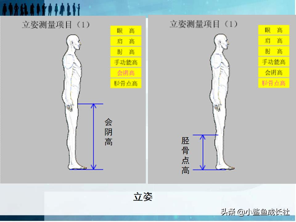人机工程学的核心,人机工程学是什么