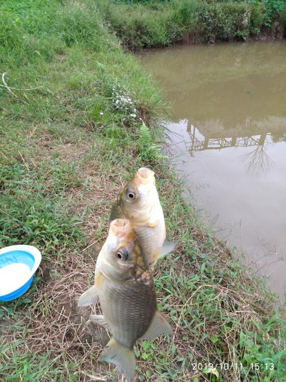 本汀宗师典藏版,本汀宗师完整视频