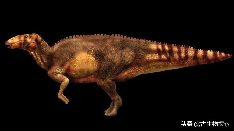 地球上首个恐龙木乃伊,恐龙木乃伊之谜