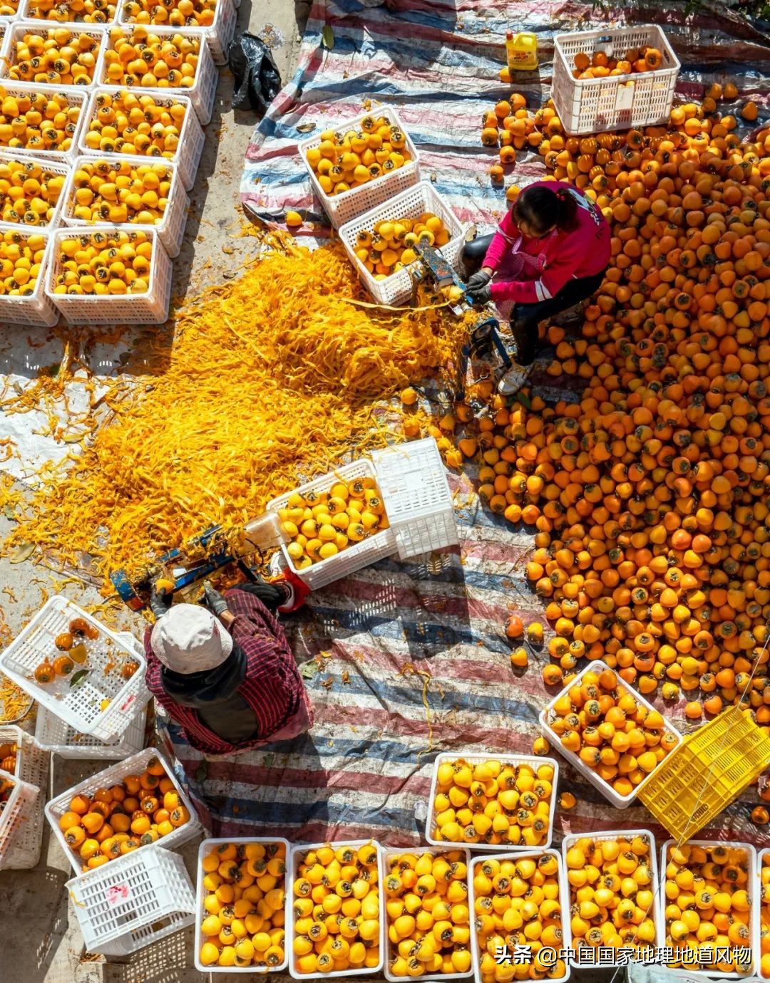 陕西水果第一大省有什么水果,陕西盛产水果吗