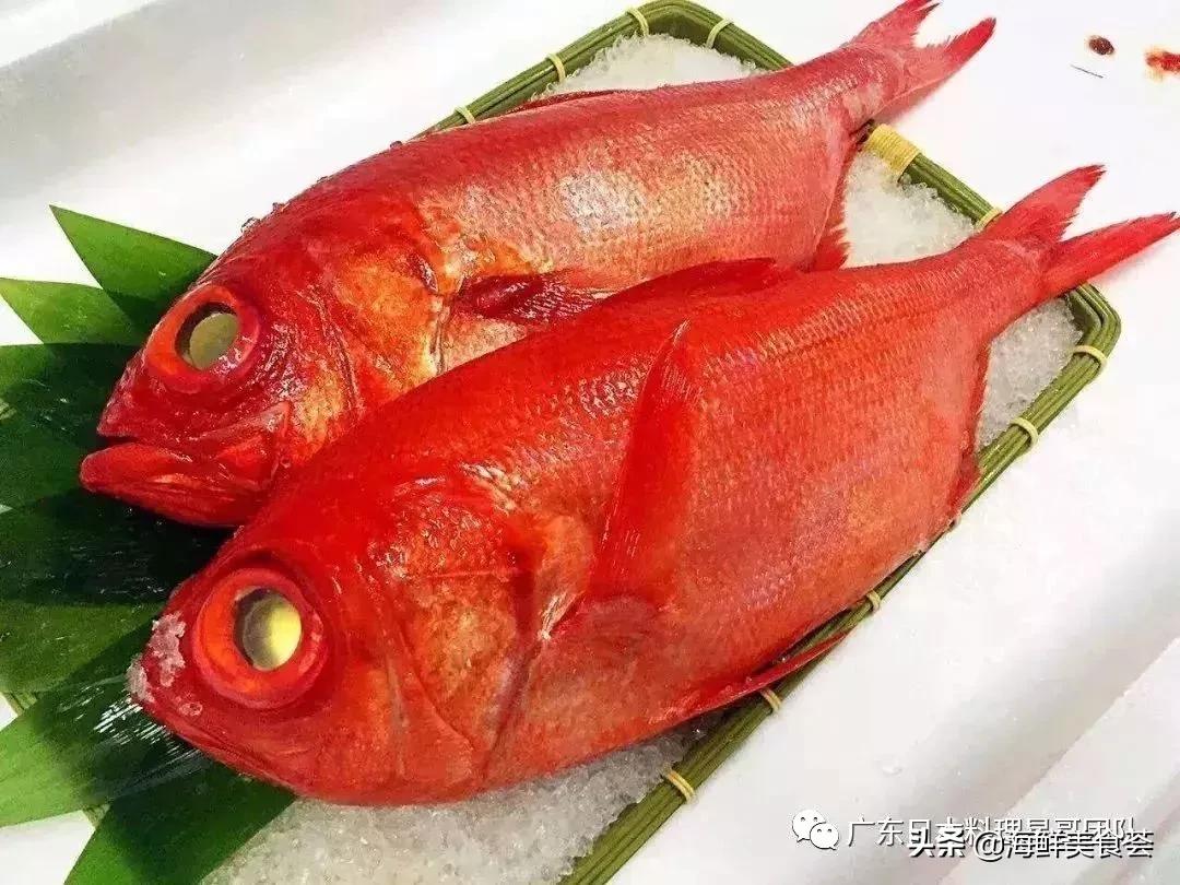 这5种淡水鱼值得多吃,中国最好吃的鱼类排行榜