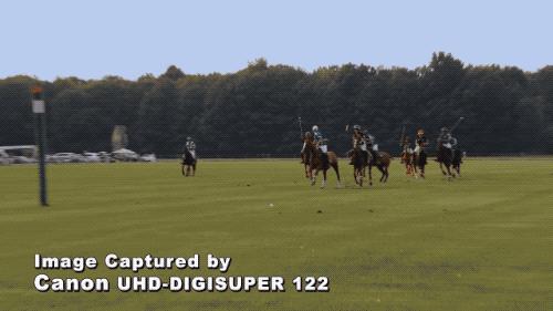 怎么知道网上的视频是不是专业摆拍？