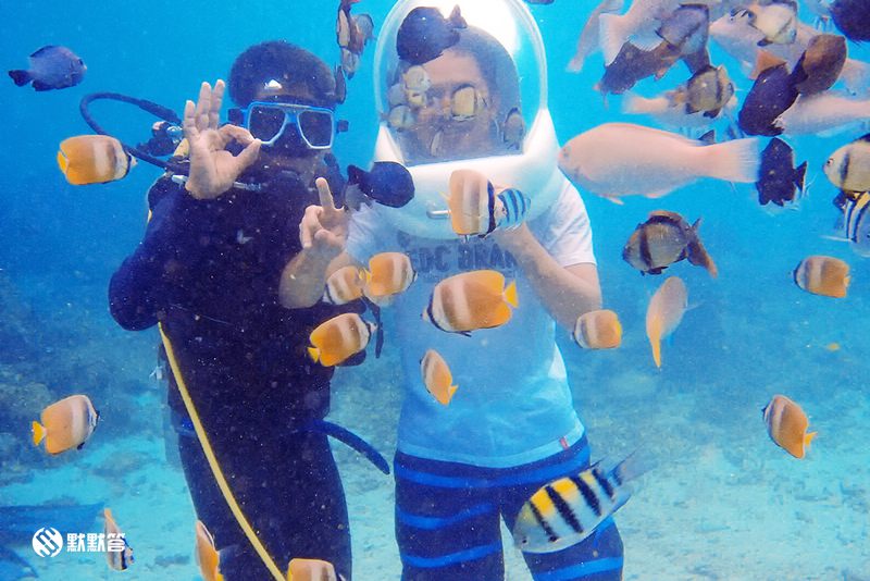 长滩岛海底世界,长滩岛海底漫步在哪里