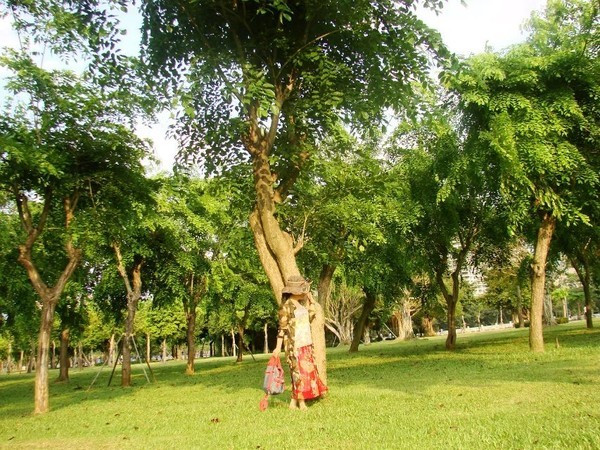 一个人在海边玩一天,一个人在海边怎么玩