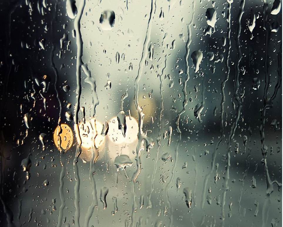 四年级自学天窗的感受,四年级天窗知识结构图