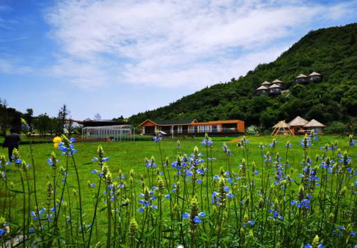 安顺金鸡农庄生态园,安顺田园农庄