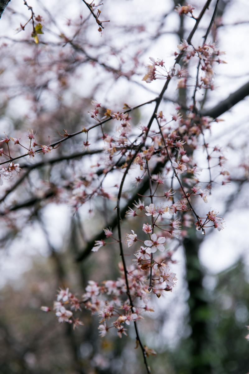 南昌月亮湾一日游最佳攻略,南昌月亮湾旅游攻略和自驾游攻略