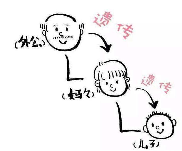 宝宝基因不合的表现,宝宝会隔代遗传外貌吗