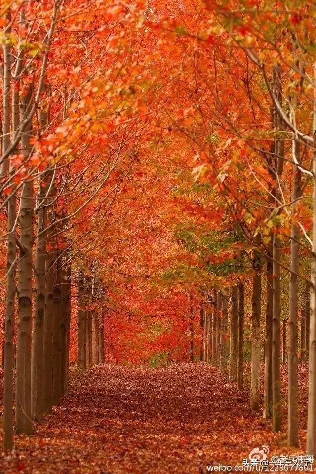 大连有一个蓝色的小城堡景点,大连秋季旅游景点攻略大全