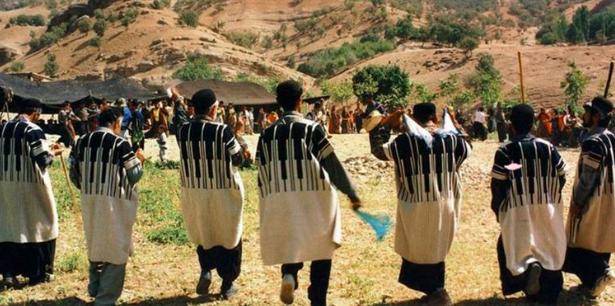 伊朗的深度解析,关于伊朗的趣闻