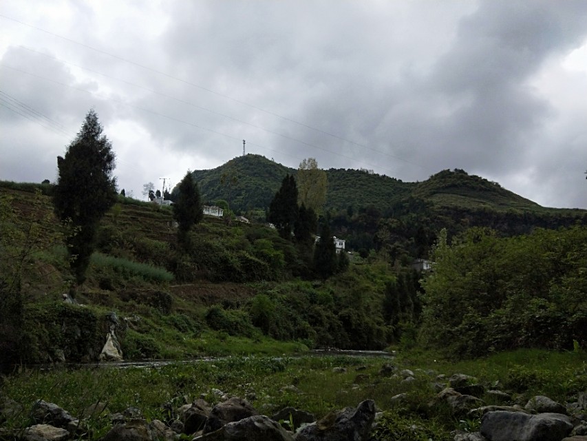 何氏始祖后裔,何氏得姓始祖