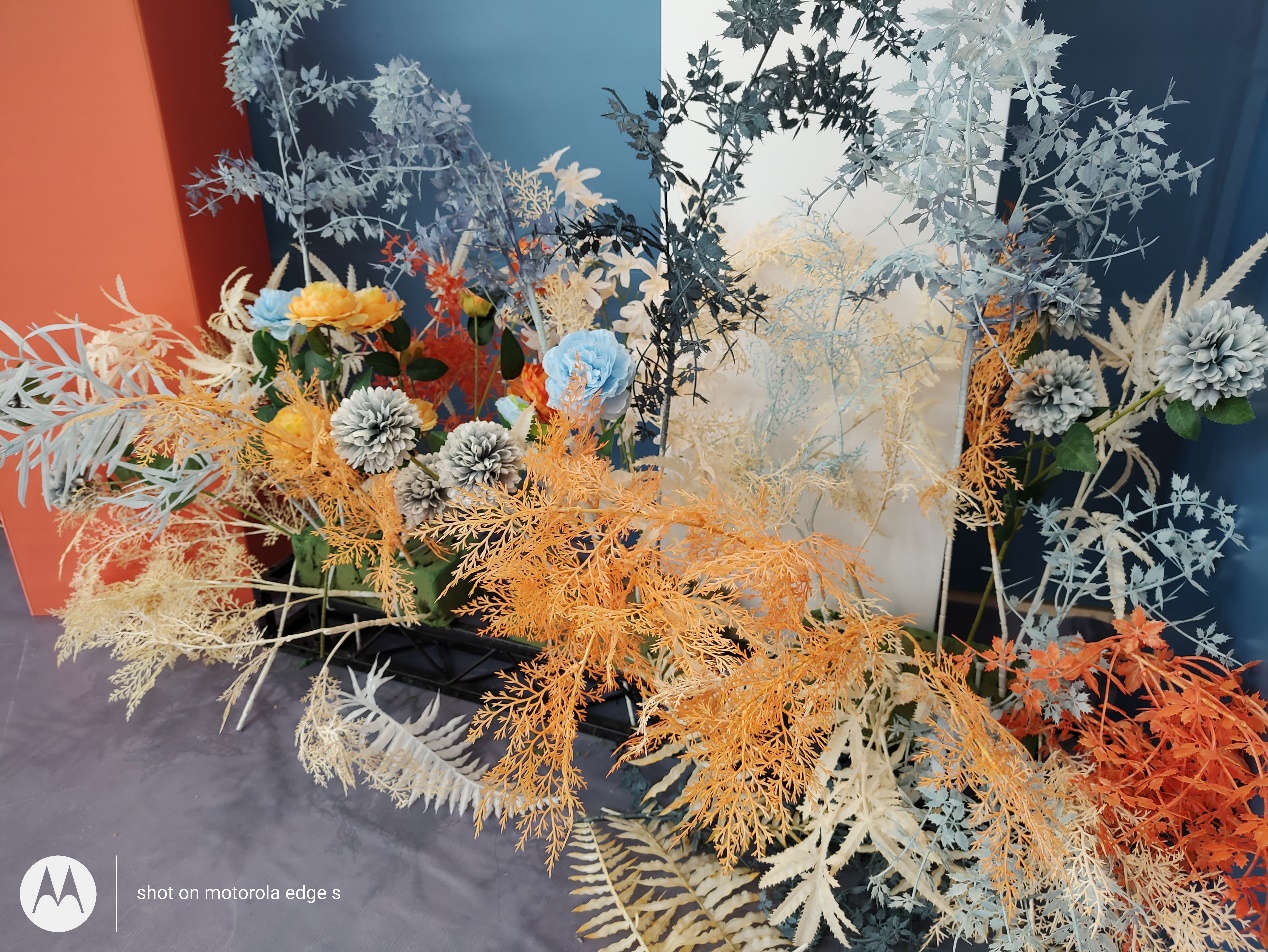 motorolaedgespro和edges区别,motorolaedges视频