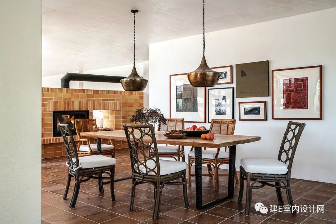 乘风破浪谢柯,谢柯个人简历