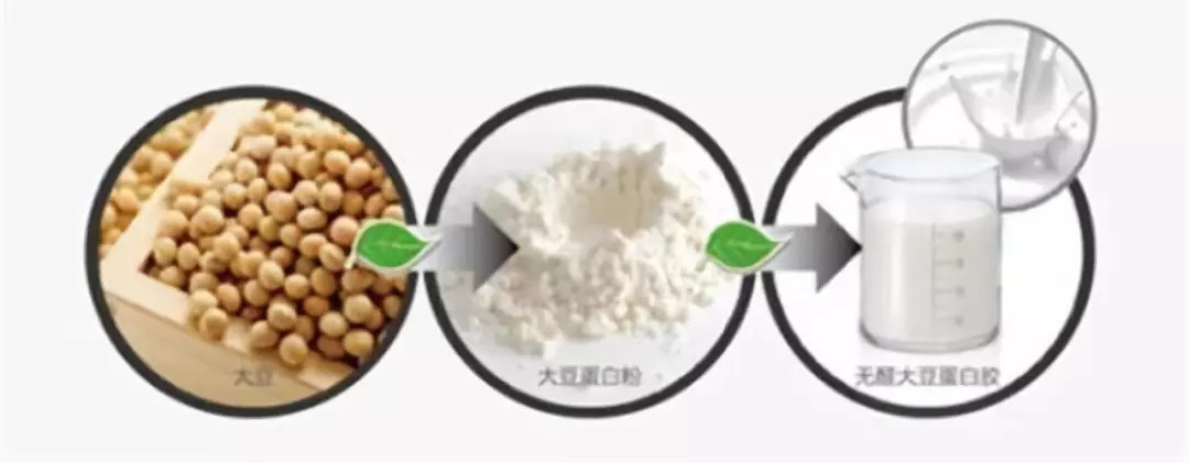 大豆能吃吗有什么功效,大豆除了能做食品还能做什么