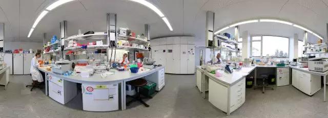 在美国读博要几年,在美国读博有收入吗