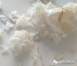 在网上买水果遇到假货怎么办,网上购买水果会被坑吗