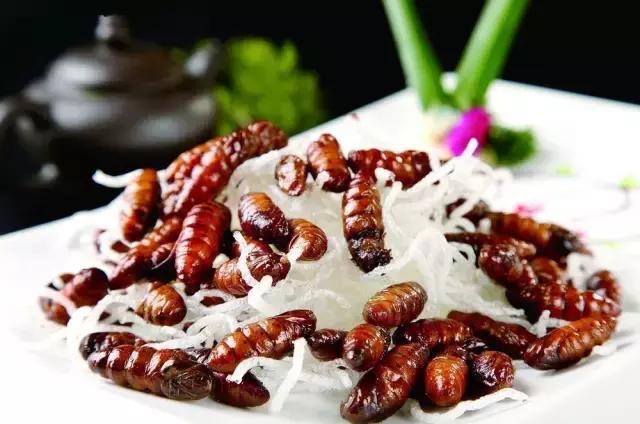 家常菜15道菜客家菜,客家菜太好吃了怎么形容