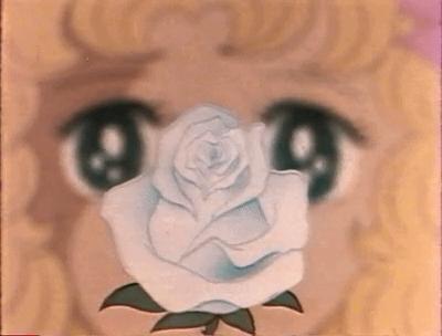 日本少女漫画罗曼史：从花物语到多元化的优美轨迹|张小玉