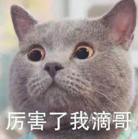 深圳最真实的工资,2018深圳薪资报告