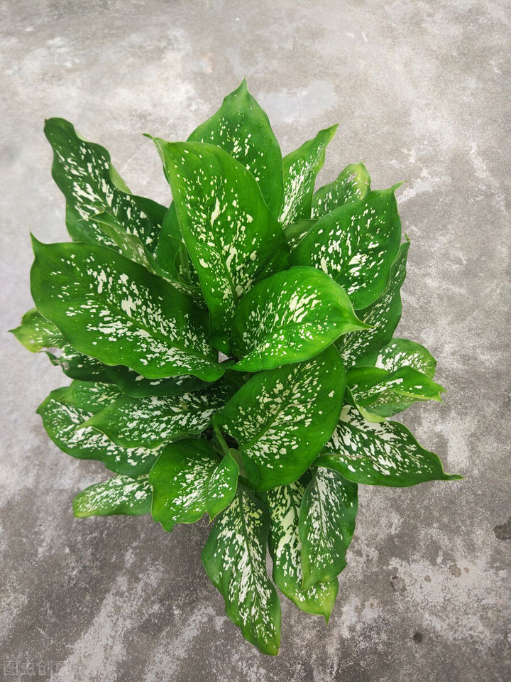 去除甲醛最快最有效的方法,新家具去除甲醛的最快方法