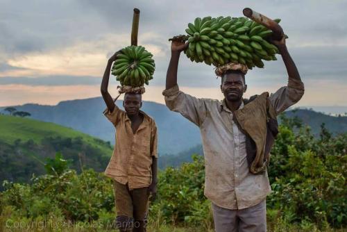非洲布隆迪,最不发达国家之一,一辆“二八大杠”能养活一家人