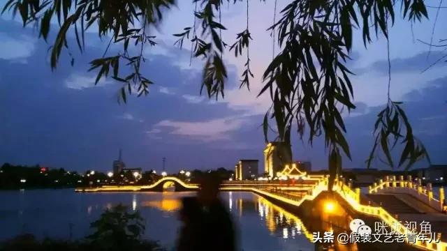 卫辉人那些昼思夜想的桥！究竟有何魔力？