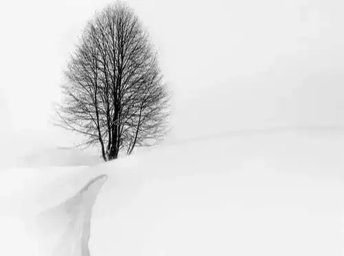 摆脱霉运的最佳方法,当你运气不好时会想什么办法