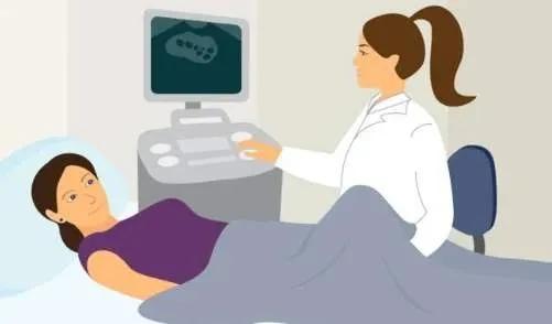 促排期间需要做什么,促排期间注意哪些事项