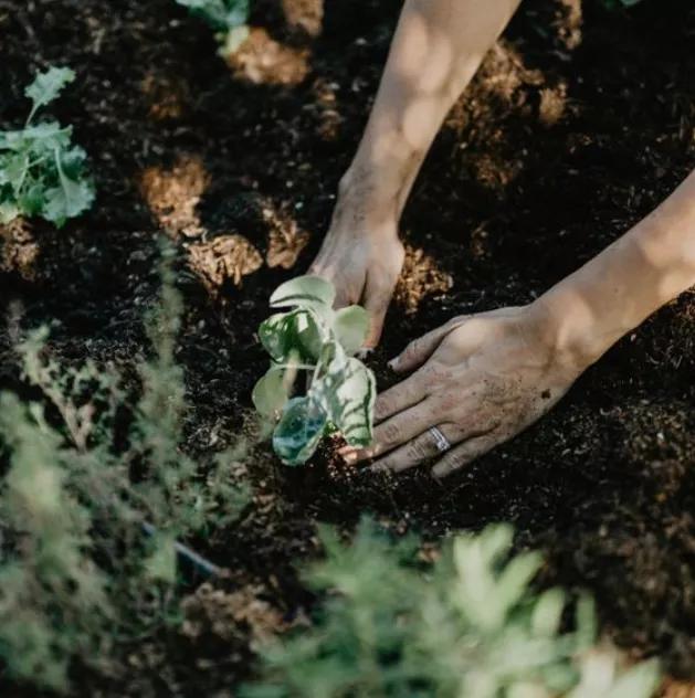 不戴的水晶需要消磁吗,水晶饰品为什么要消磁