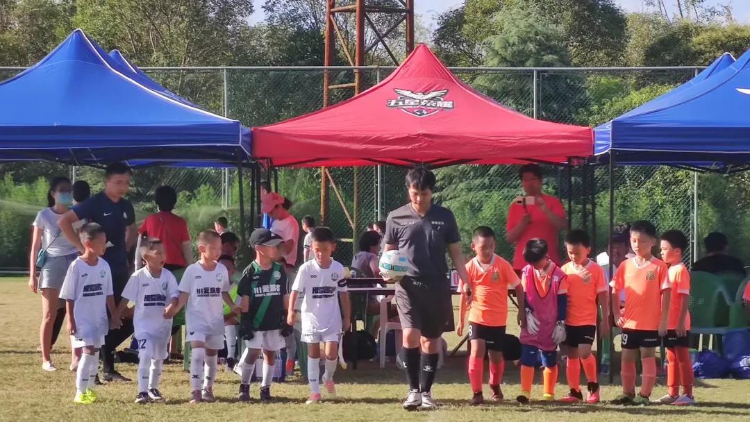 群英荟萃可以一期全拿完吗,群英荟萃重复获得多少盒子