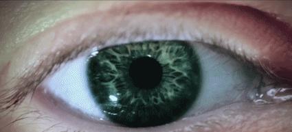 王炸3对局完整视频,王炸震惊国外完整视频