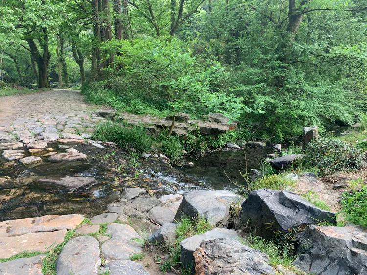 龙井村九溪十八涧徒步最佳路线图,九溪十八涧只有龙井村一个出口吗