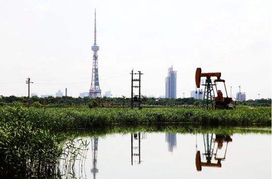 沈阳和大庆哪个城市好,吉林市和鞍山市哪个城市好