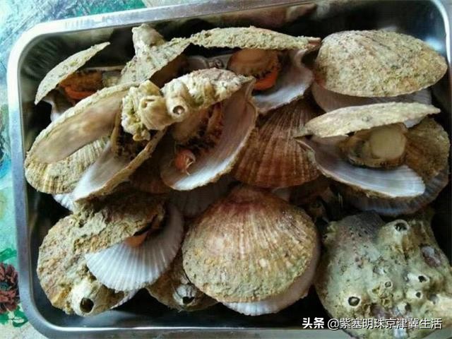 大钦岛旅游渔家乐,夏天最美的海边风景