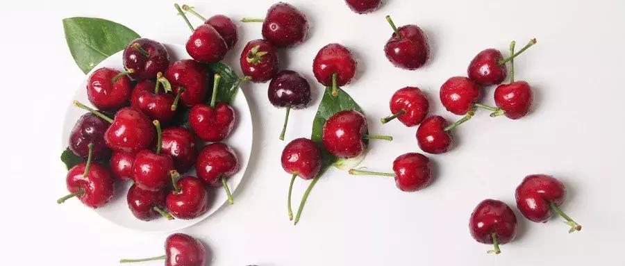 西安周边摘樱桃的地方,西安摘樱桃最佳地点