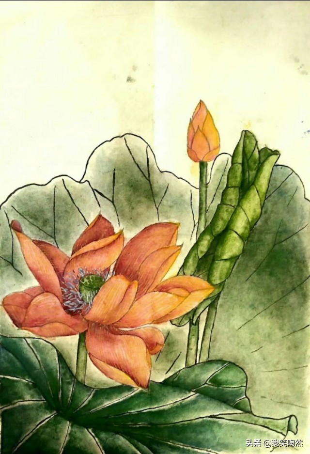 面瘫患者的康复日记,我的面瘫日记全集