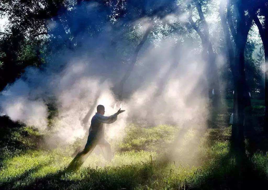 练太极功法的身体反应,太极拳二十四式初学入门基本动作