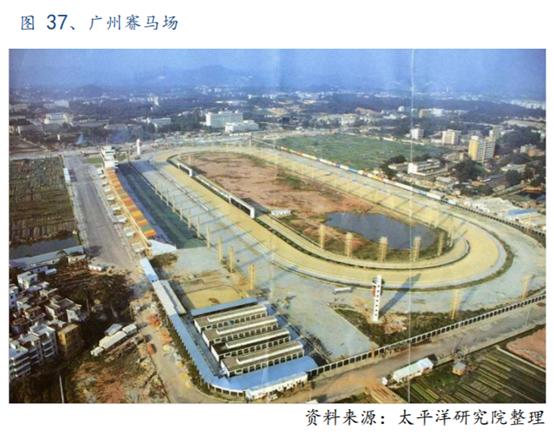 体育行业报告,体育赛马项目介绍