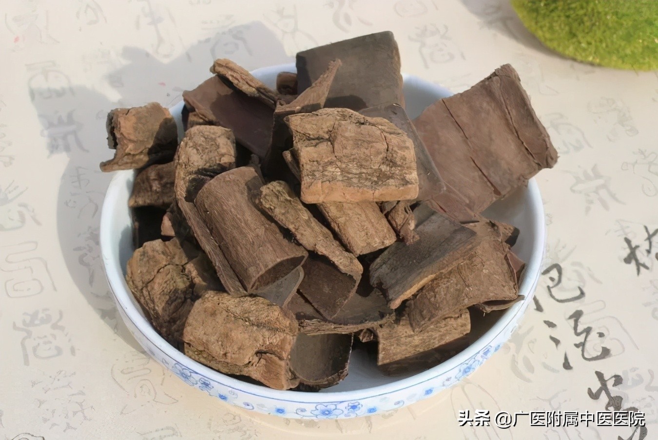 腰酸风湿怎么治疗,寒湿腰痛的最佳食疗