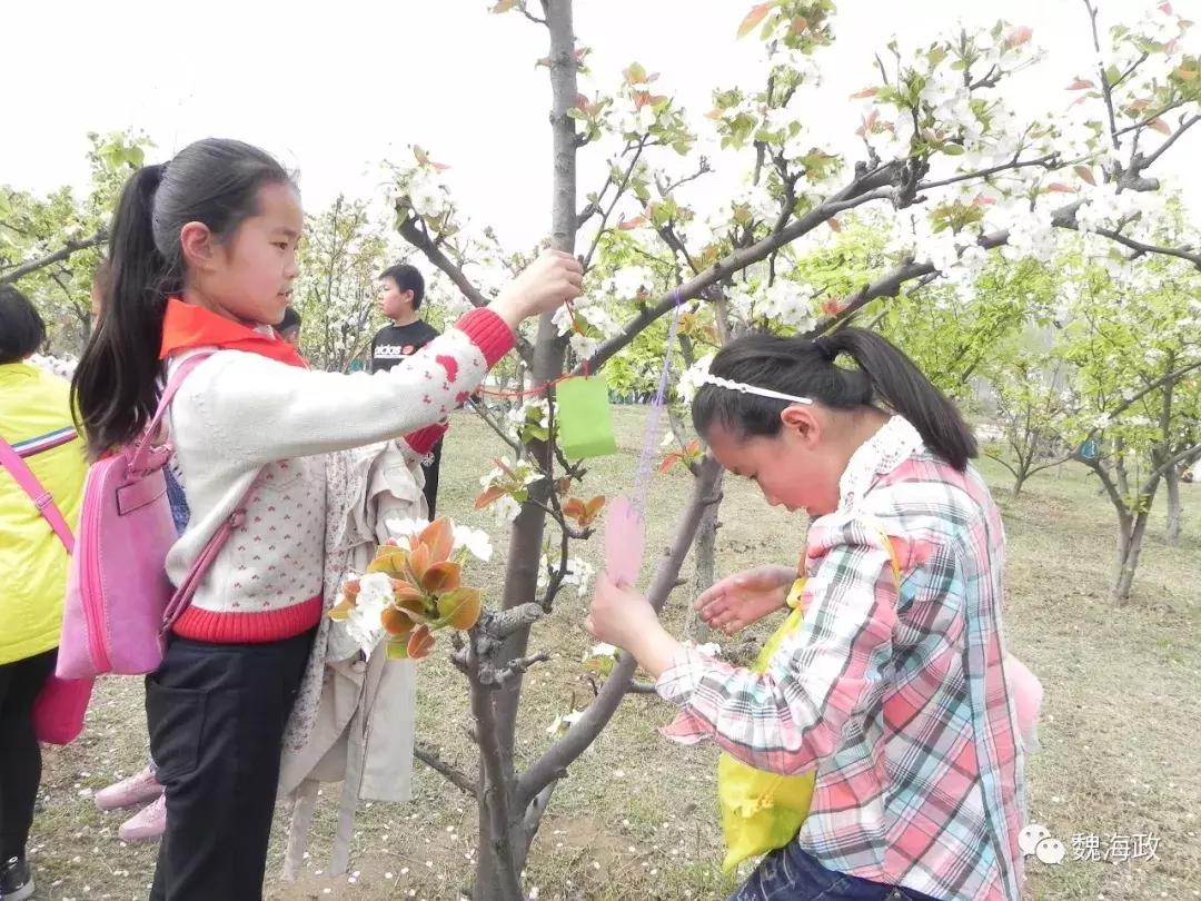突破“唯分”困局——山东东明县第四实验小学的学生评价改革探索