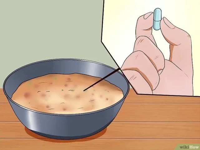 演技爆表!为了不吃药这猫学会了螃蟹的技能