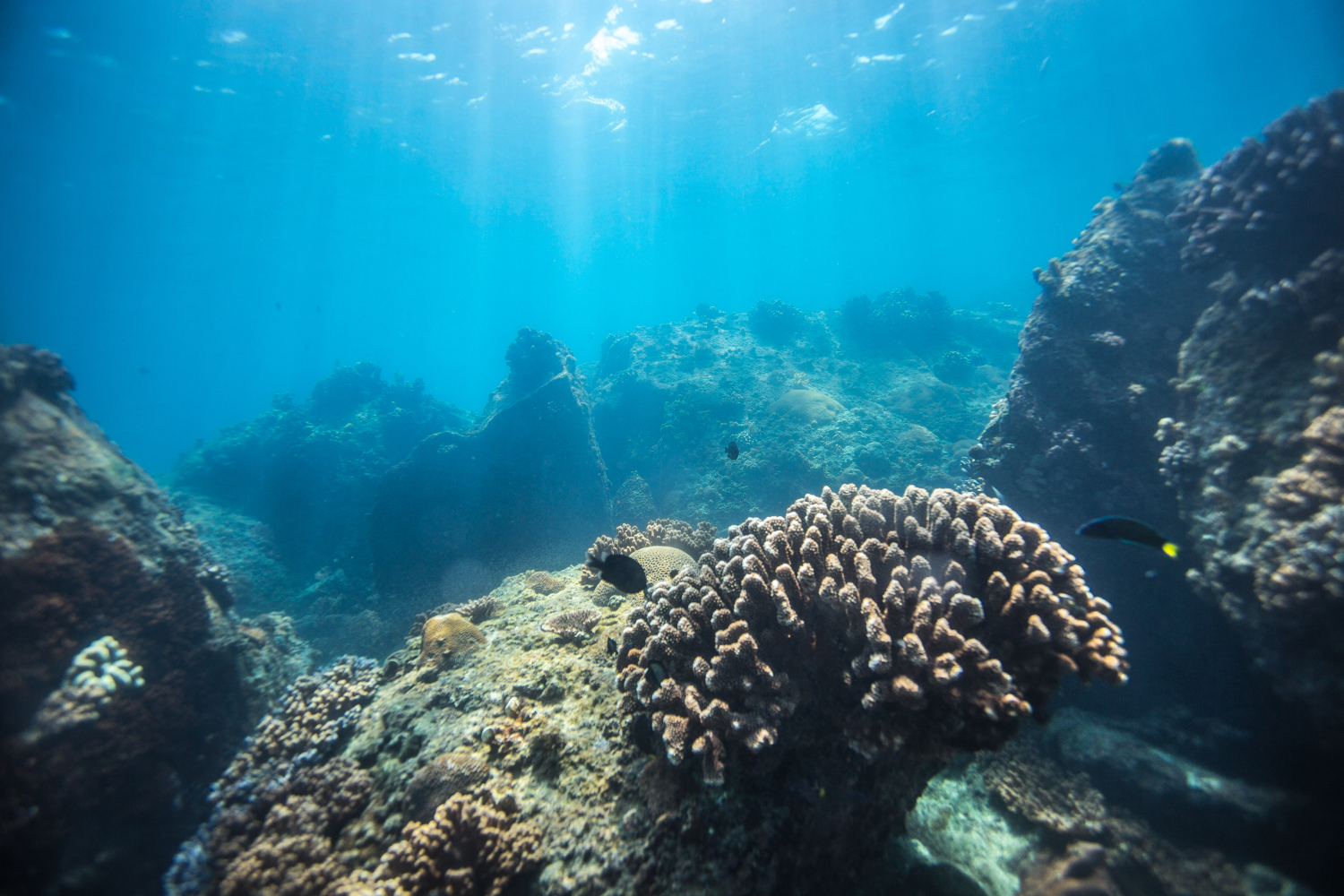 去三亚潜水哪个湾最好,三亚旅游潜水攻略自由行