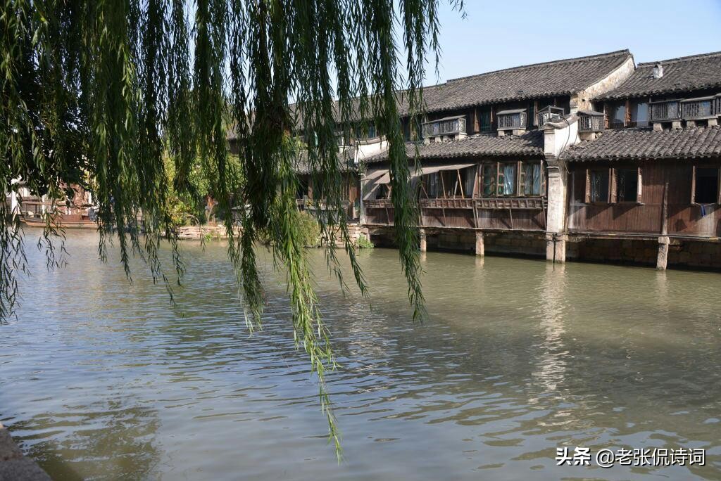 北宋宰相写春天柳树，28字宋诗无一“柳”字，却处处有柳树的影子