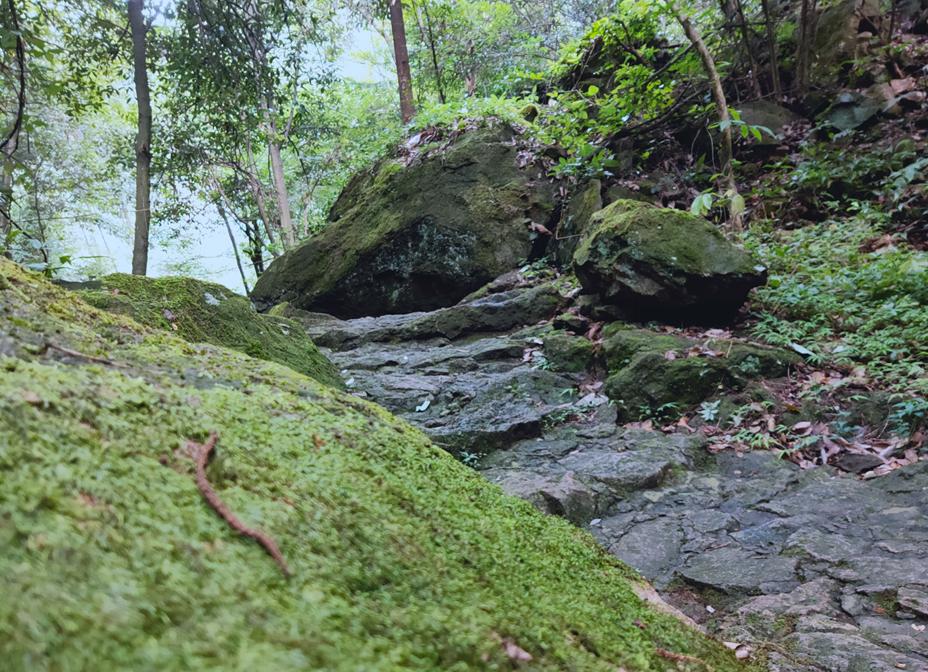 金华这座1.5亿高龄的山峰，浓翠蔽日，风清月朗，还有试胆石等你去挑战