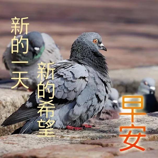 做人留有余地也是给自己一线生机,给别人留路就是给自己积攒人品