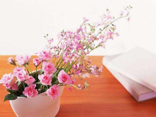 贺测亮随笔：三品话人生诵读：紫竹