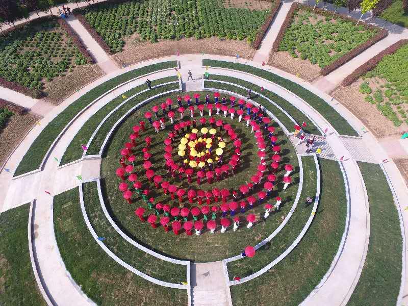 莫道春深百花残芍药花开正芬芳