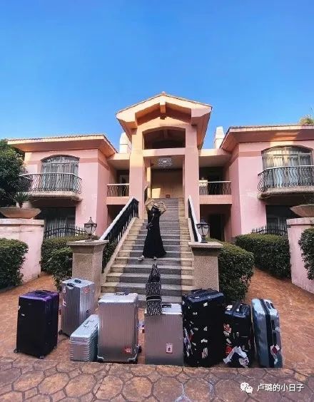 3分钟看乘风破浪的姐姐,看乘风破浪的姐姐第4季反应